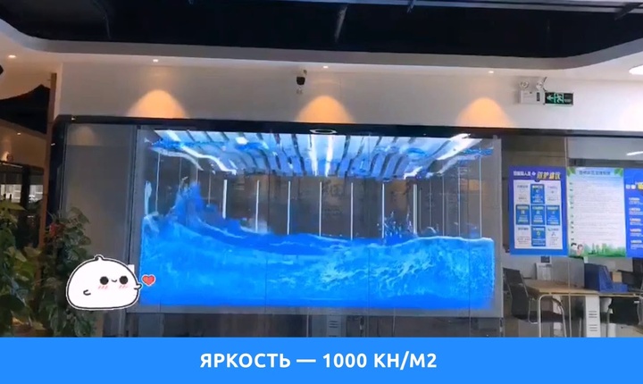 Embedded thumbnail for Transparent LED screen for indoor use / Р6